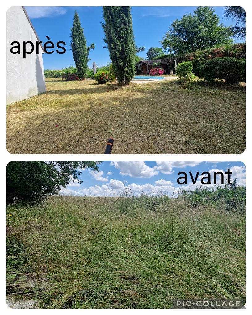 Travaux divers d'élagage & abattage - Photo 12