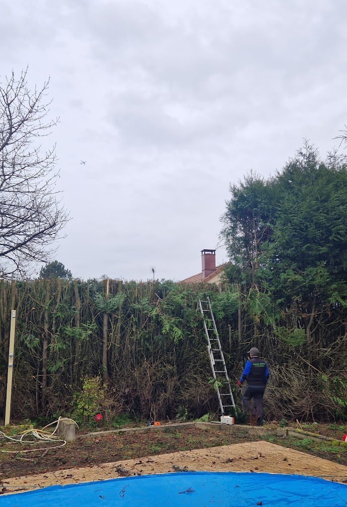 Travaux divers d'élagage & abattage - Photo 3