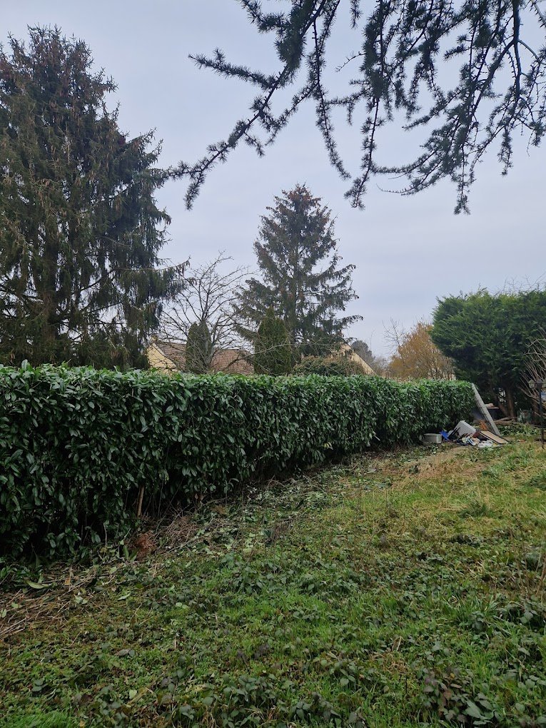 Travaux divers d'élagage & abattage - Photo 7