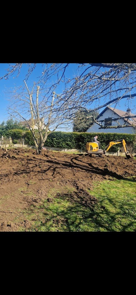 Travaux divers d'élagage & abattage - Photo 14