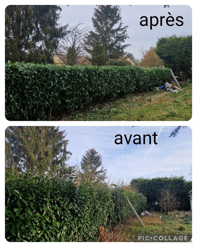 Travaux divers d'élagage & abattage - Photo 13